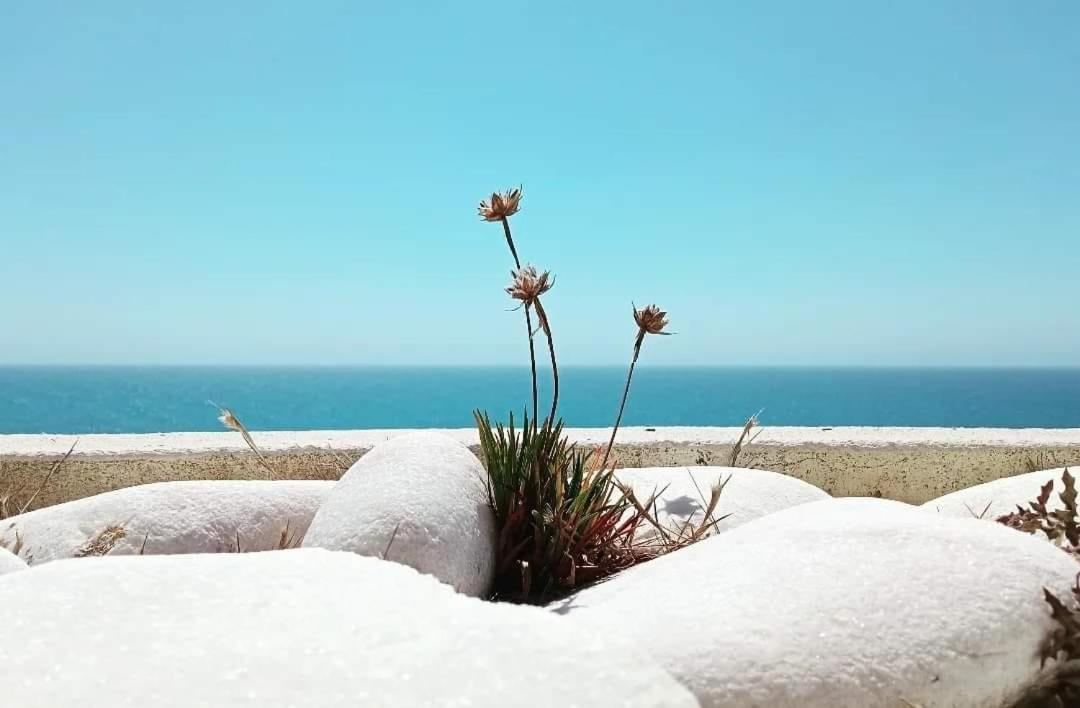 Tininha Da Ilha - Peniche Beach Escape Exterior foto