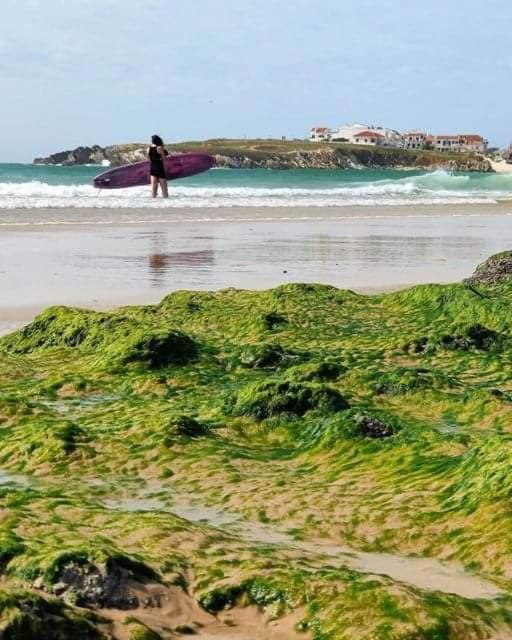 Tininha Da Ilha - Peniche Beach Escape Exterior foto